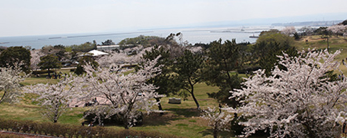 周辺地域のお客さまのために。地域密着型の葬祭社